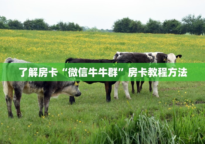 玩家攻略“有没有微信炸 金花房卡”房卡使用教程