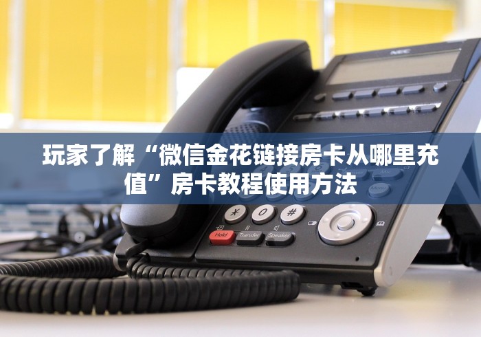 玩家攻略“微信群牛牛房卡如何充值”详细房卡教程 玩家攻略“微信群牛牛房卡如何充值”详细房卡教程