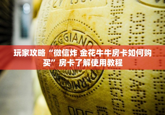 秒懂百科“皇豪互娱在哪里买房卡”房卡链接获取