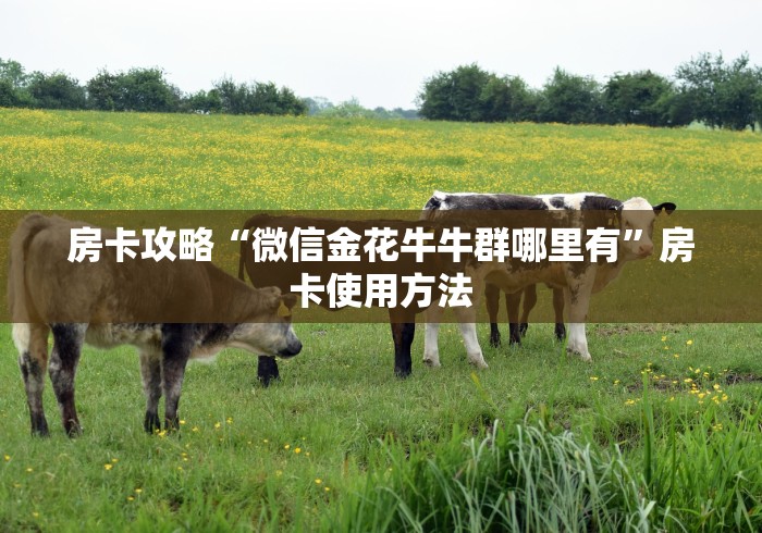 玩家必备教程“哪里有卖微信炸 金花房卡”链接房卡在哪里获取