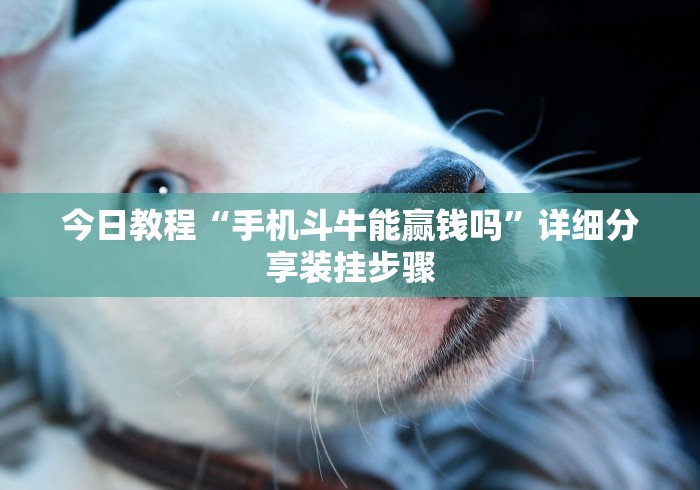 一分钟了解“微信金花房卡跟谁买”链接房卡在哪里获取