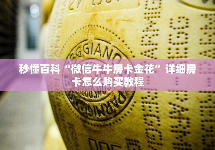 一分钟介绍使用“炸 金花客服代理”详细房卡怎么购买教程