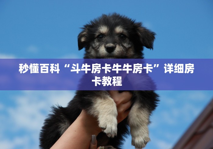 秒懂百科“斗牛房卡牛牛房卡”详细房卡教程