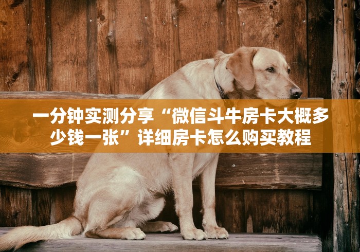 一分钟实测分享“微信斗牛房卡大概多少钱一张”详细房卡怎么购买教程 一分钟实测分享“微信斗牛房卡大概多少钱一张”详细房卡怎么购买教程