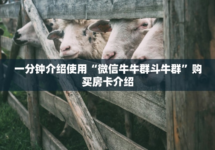 一分钟介绍使用“微信牛牛群斗牛群”购买房卡介绍 一分钟介绍使用“微信牛牛群斗牛群”购买房卡介绍