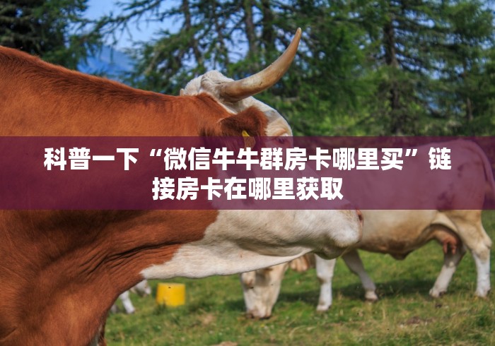 科普一下“微信牛牛群房卡哪里买”链接房卡在哪里获取 科普一下“微信牛牛群房卡哪里买”链接房卡在哪里获取