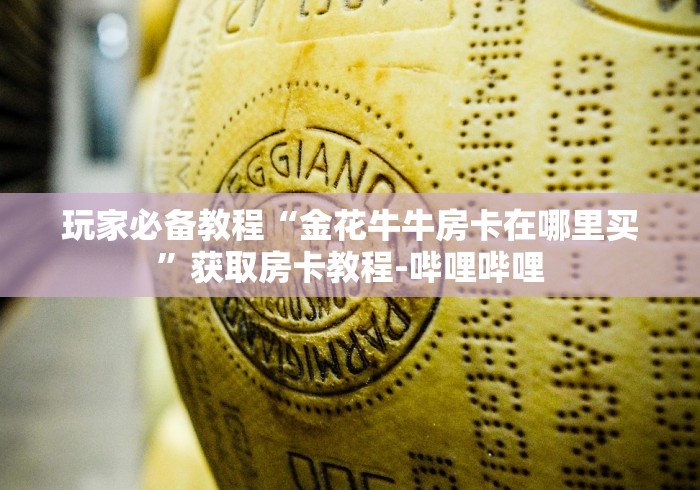 玩家必备教程“金花牛牛房卡在哪里买”获取房卡教程-哔哩哔哩