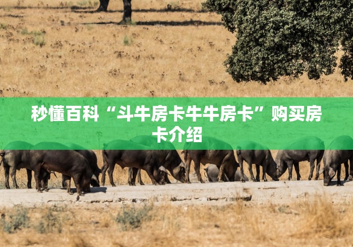 秒懂百科“斗牛房卡牛牛房卡”购买房卡介绍 秒懂百科“斗牛房卡牛牛房卡”购买房卡介绍