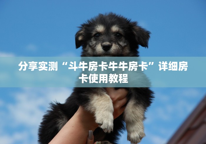 分享实测“斗牛房卡牛牛房卡”详细房卡使用教程 分享实测“斗牛房卡牛牛房卡”详细房卡使用教程